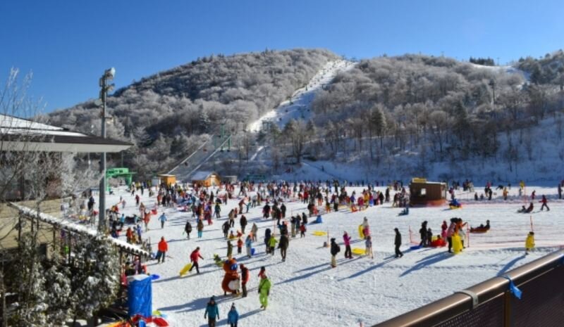 茶臼山高原スキー場の風景