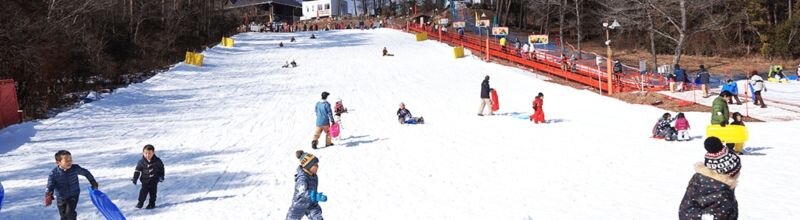 旭高原元気村のそりゲレンデ