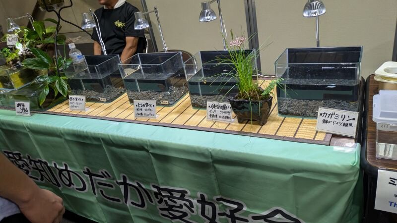 doubutsugakkai (8).jpg
